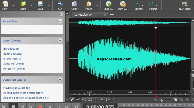 wavepad sound editor torrent