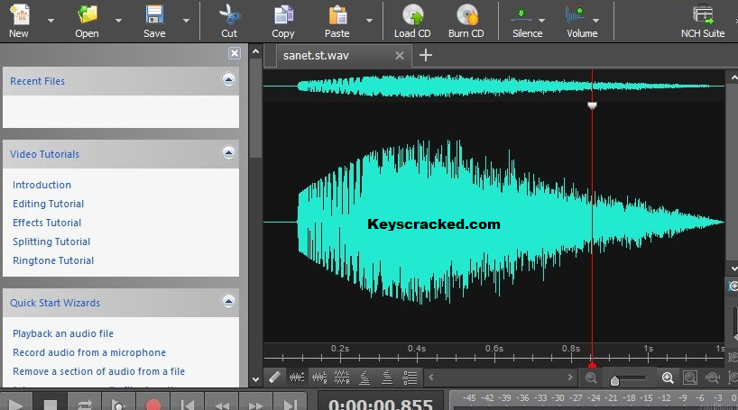 WavePad Sound Editor Key
