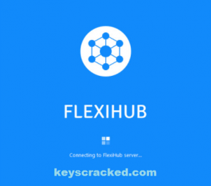 flexihub 4.0 download