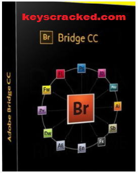 Adobe Bridge CC 2024 14.0.4.222 Crack Plus Free Download