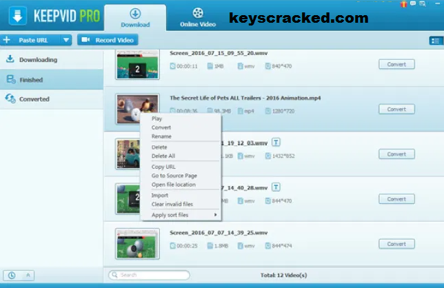 KeepVid Pro Key