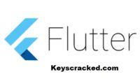 Flutter 3.24.0 Crack With Serial Key Latest Version 2024