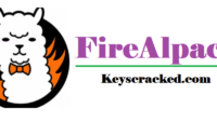 FireAlpaca 2.13.6 Crack Plus Serial Key Free Download 2025